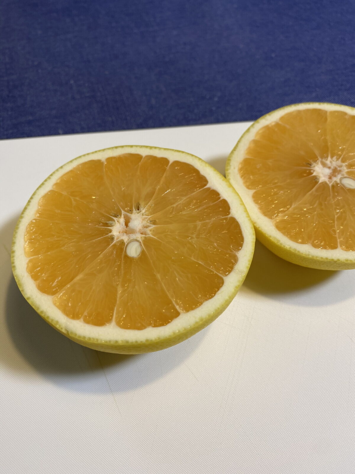 Oisixのグレープフルーツ