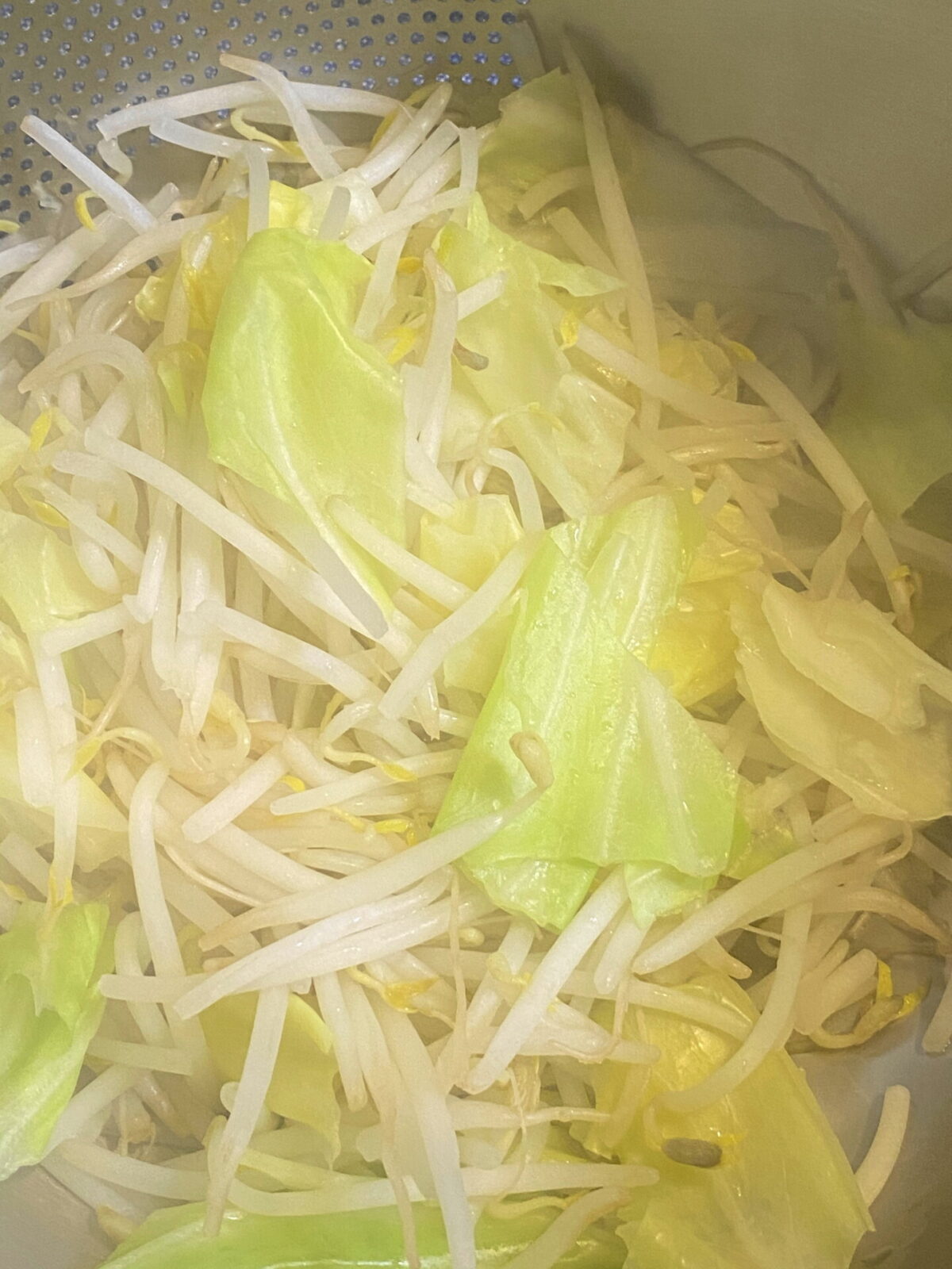 キャベツともやし