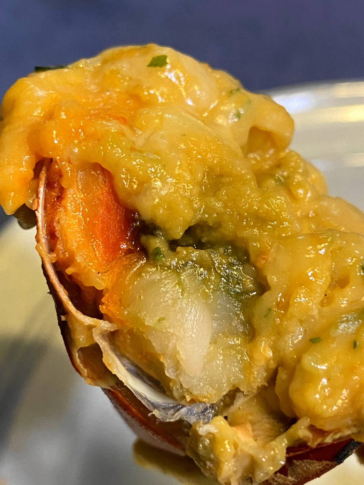 ヨシケイのオマール海老