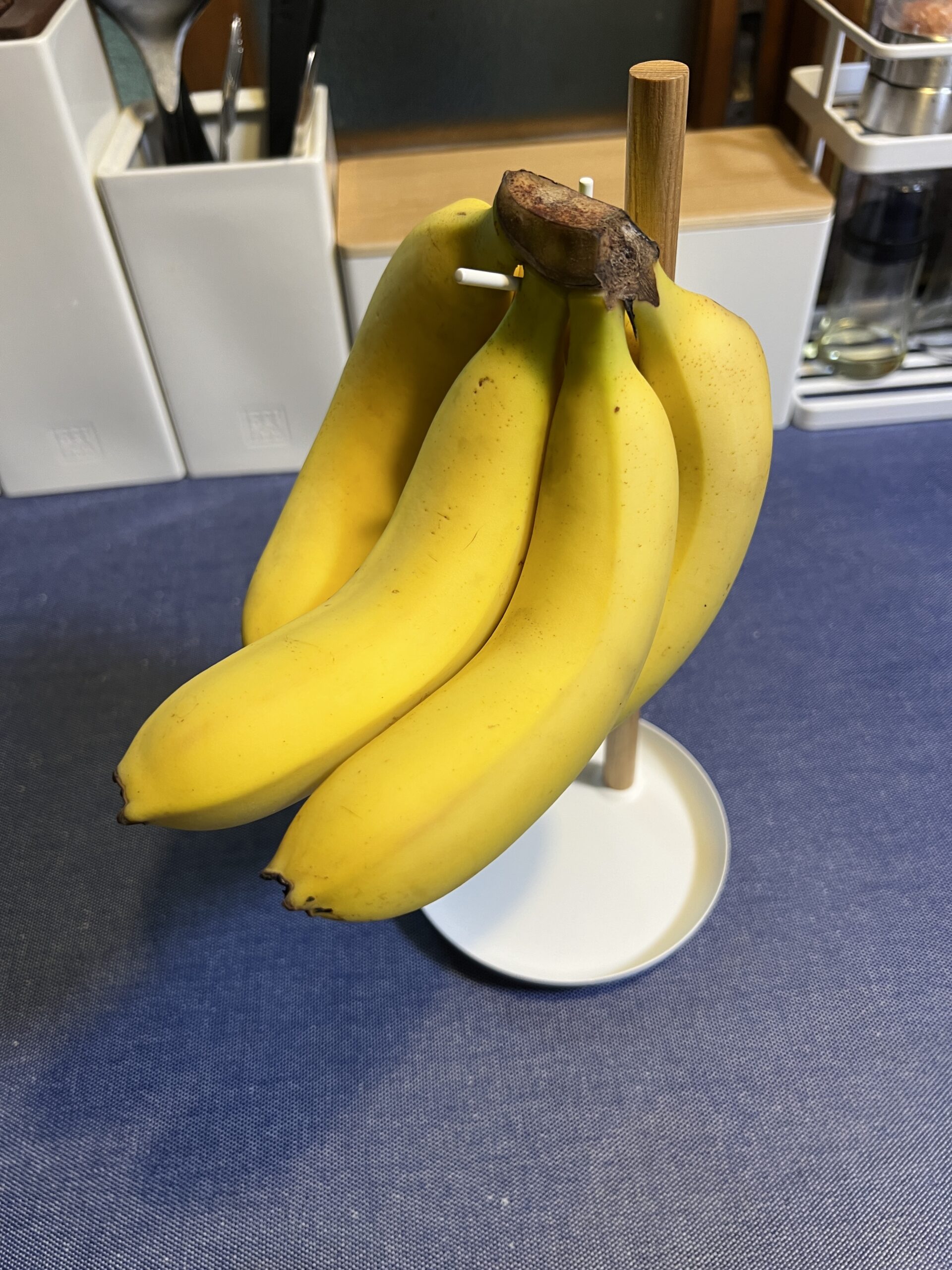 スタンドに吊るした1房のバナナ